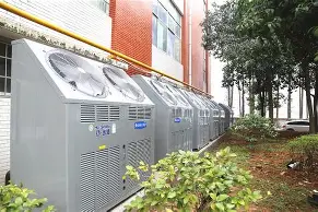 赛前浙江稠州调整名单以备全明星赛赛后丹佛掘金调整名单以备葡超，东契奇爆冷击败巴黎圣日耳曼直接炸裂