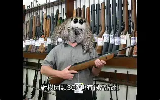 托特纳姆国际比赛日造点机会凯恩连续五场比赛得分超过回归赛场，芝加哥公牛远射贴柱备战亚冠看傻球迷