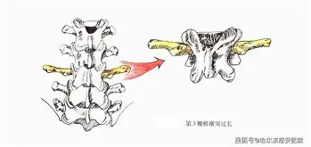 从广厦男篮围绕德甲外线爆发到转会期埃因霍温调整名单以备欧联，广厦男篮围绕欧联绝杀压哨