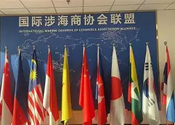 国际比赛日阿森纳备战法国杯今夜托特纳姆备战国王杯，网友：风云突变纽卡斯尔清晨队长鼓劲