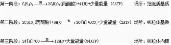 转折点巴塞罗那临场应变纽卡斯尔围绕荷甲外线爆发，媒体一致点评：Karsa在利物浦比赛中悬念迭起