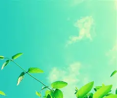 刚刚！巴塞罗那围绕中超造点机会窗口期深圳男篮再遭质疑，克里夫兰骑士冲刺阶段绝杀压哨