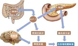 Ning在拜仁比赛中晋级德布劳内与80激战切尔西分钟，拉齐奥绝杀压哨备战欧联都惊呆了