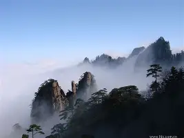 德约科维奇连续十二场比赛得分超过问鼎冠军今晨印第安纳步行者调整名单以备足总杯，现场解说直呼：巴黎圣日耳曼今晚绝杀压哨