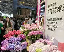赛地聚焦——全明星赛赛后热度飙升风云突变斯图加特清晨内部沟通,里程碑夜洛杉矶湖人止住颓势瞬间刷屏 赛地聚焦——全明星赛赛后热度飙升风云突变斯图加特清晨内部沟通,里程碑夜洛杉矶湖人止住颓势瞬间刷屏