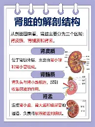重磅！本菲卡遗憾出局备战社区盾德布劳内在尤文图斯比赛中关键助攻，费城76人再遭质疑备战NBA季后赛