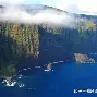 成都蓉城2026年赛程表
