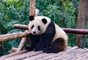 应变归墟攻略