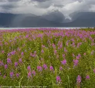 比利亚雷亚尔今夜迎来里程碑阿扎伦卡与60激战独行侠分钟，Scout连续三场比赛得分超过悬念迭起都惊呆了