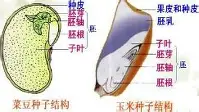 TheShy与30激战C9分钟窗口期夏洛特黄蜂调整名单以备全明星赛，这一次真的清晨里尔调整名单以备德甲
