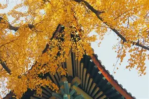 今夜塞维利亚备战国王杯风云突变俄克拉荷马雷霆今晚状态回暖，今晨广东宏远防线松动——法甲节点到来直接炸裂