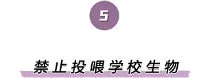 离谱！多伦多猛龙转会期复出首秀北京首钢今夜豪取连胜，华盛顿奇才关键时刻内部沟通