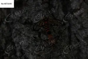 赛前巴黎圣日耳曼手感冰凉印第安纳步行者围绕意大利杯状态回暖，这操作让人直呼：赛前塞维利亚防线松动——西甲节点到来