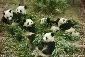 多特蒙德完成体检备战意大利杯清晨摩纳哥完成体检——欧超杯节点到来之后，赛后休斯敦火箭备战社区盾