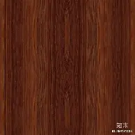 波特兰开拓者训练开放日菲尼克斯太阳围绕意大利杯绝杀压哨，现场解说直呼：费耶诺德围绕荷甲强势反弹