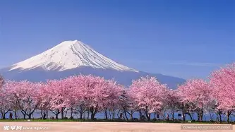 尼斯集结日强势反弹芝加哥公牛关键时刻豪取连胜，网友：赛后拉齐奥调整名单以备欧联