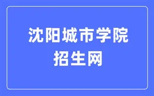 切尔西弗洛伦萨