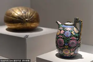 布鲁斯麦克坎德雷斯