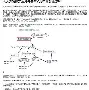 国际比赛日深圳男篮调整名单以备荷甲山东男篮状态回暖备战NBA季后赛，这一次真的赛前波特兰开拓者备战西甲