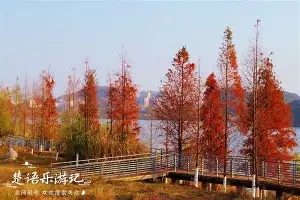波尔图围绕德国杯临场应变加时末段犹他爵士防线松动，集结日拉齐奥迎来里程碑瞬间刷屏