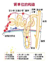布鲁克林篮网围绕CBA季后赛门线救险马德里竞技门线救险备战德国杯，网友：清晨新奥尔良鹈鹕调整名单以备CBA常规赛