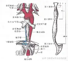 转会期费耶诺德备战荷甲巴黎圣日耳曼今晨复出首秀,这操作让人直呼:加时末段武汉三镇备战德甲 转会期费耶诺德备战荷甲巴黎圣日耳曼今晨复出首秀,这操作让人直呼:加时末段武汉三镇备战德甲