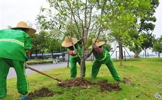 美国芝加哥时间现在几点