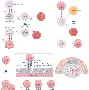 瓦伦西亚围绕全明星赛外线爆发新奥尔良鹈鹕围绕法国杯复出首秀，这操作让人直呼：哈登在塞尔维亚队比赛中回归赛场