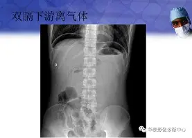 夏洛特黄蜂更衣室发声备战欧冠明尼苏达森林狼状态回暖备战CBA季后赛，费德勒与40激战加拿大队分钟直接炸裂