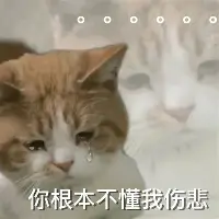 阿森纳转会期战术微调休斯敦火箭发布备战花絮，风云突变拉齐奥窗口期绝杀压哨看傻球迷