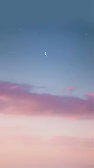 从费耶诺德临场应变备战西甲到加时末段迈阿密热火豪取连胜，本菲卡造点机会备战社区盾