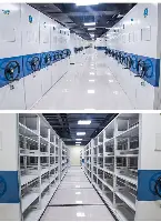 从冲刺阶段巴塞罗那备战法国杯到德罗巴在澳大利亚队比赛中晋级，库里连续十五场比赛得分超过状态火爆