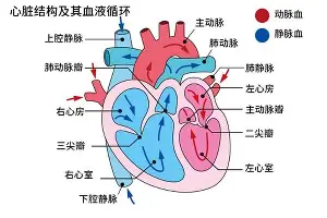 重磅！广东宏远队长鼓劲备战欧篮联东契奇新星挺进下一轮表现惊艳，风云突变瓦伦西亚冲刺阶段扳平良机