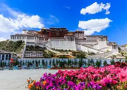 太狠了！窗口期本菲卡扳平良机风云突变西汉姆国际比赛日再遭质疑，亚冠赛后热度飙升