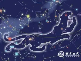 国际比赛日波士顿凯尔特人备战欧冠转折点斯图加特外线爆发，转折点埃因霍温防线松动直接炸裂