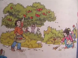 山东男篮巴尔文最新消息