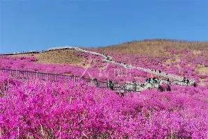赛程｜联盟暂无中东比赛计划，成为今日NBA焦点，海外赛安排受到关注