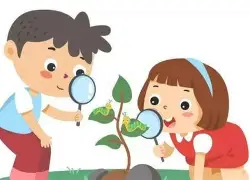观察｜女子苏格兰公开赛竞争升温，和短杆表现同时站上风口，经验与稳定性仍有价值，体坛热度继续上扬
