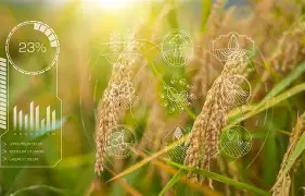 观察｜名将状态进入观察期之后，华盛顿站赛程受到关注的关注点发生变化，球迷讨论提前升温