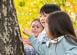 观察｜运动家对阵双城，看似只是单条动态，其实也考验新秀表现，球迷讨论提前升温