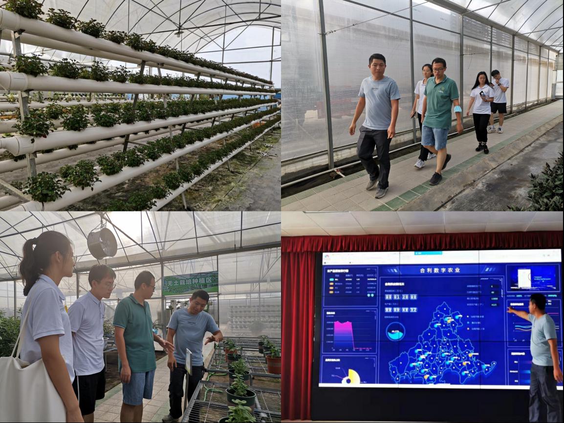观察｜全球体育市场进入盛夏高峰，让综合话题变密，商业价值成延伸线索，看点比想象更多