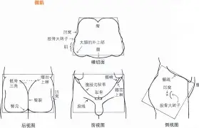 人物｜香港足球盛会启幕，热度走高，年轻力量迎来展示机会，赛前气氛已经拉满