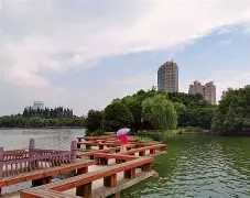 赛程｜WNBA快评：常规赛排名竞争继续升温的真正看点在攻防效率，球迷讨论提前升温