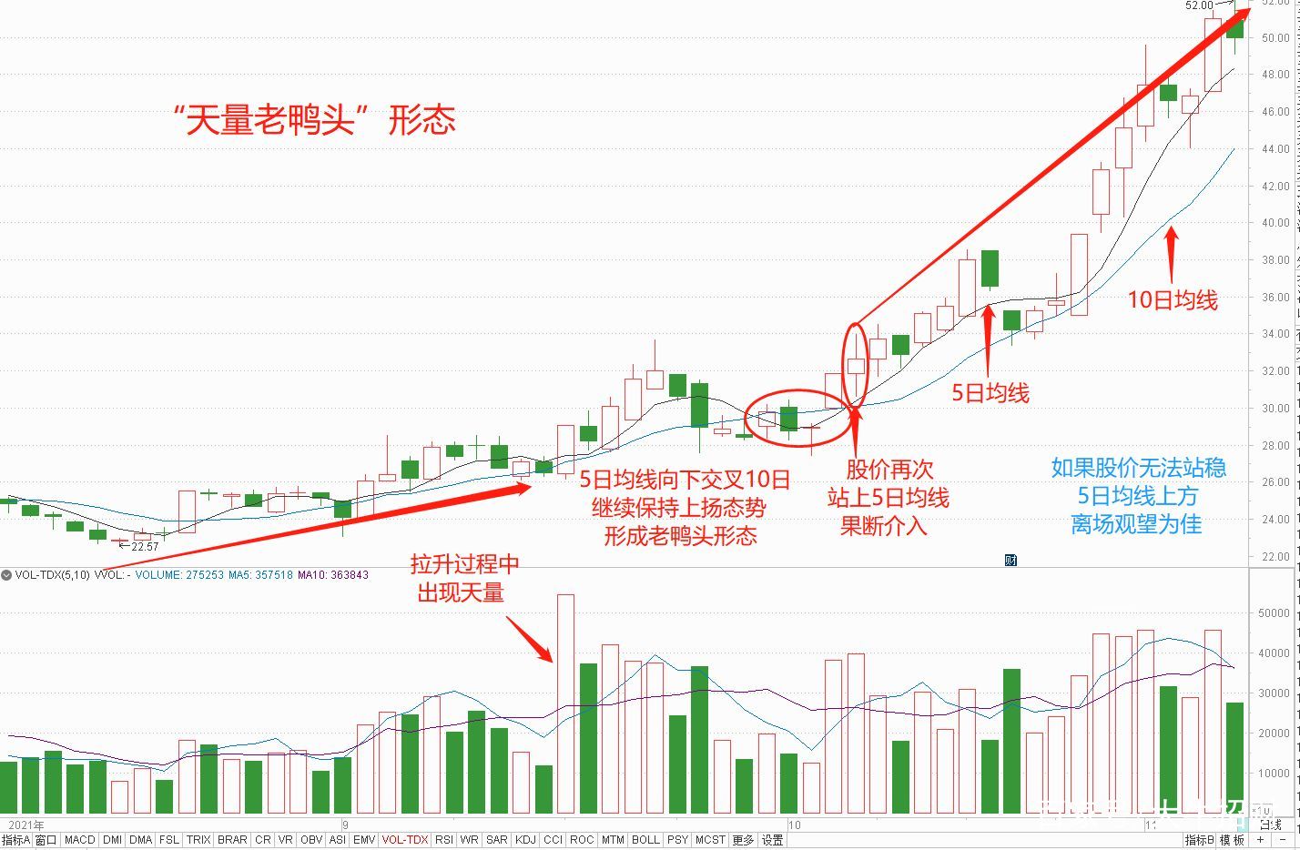赛程｜自由市场后续补强放缓，登上热搜视野，多队仍在寻找替补拼图，体坛热度继续上扬
