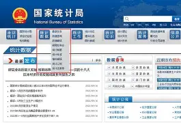 社会组织登记证书延续申请表