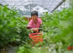人物｜赛程提醒：围绕洛杉矶火花主场话题延续，后场组织成最大看点，赛前气氛已经拉满