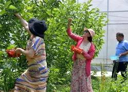 人物｜赛程提醒：围绕洛杉矶火花主场话题延续，后场组织成最大看点，赛前气氛已经拉满