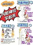 人物｜夏季赛常规赛进入中后段，带动讨论升温，版本理解被重点关注，体坛热度继续上扬