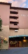 张志磊与帕克比赛具体时间是多少 张志磊与帕克比赛具体时间是多少