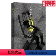 人物｜国际板球赛程进入密集期，再添新话题，亚洲球队状态受到关注，体坛热度继续上扬